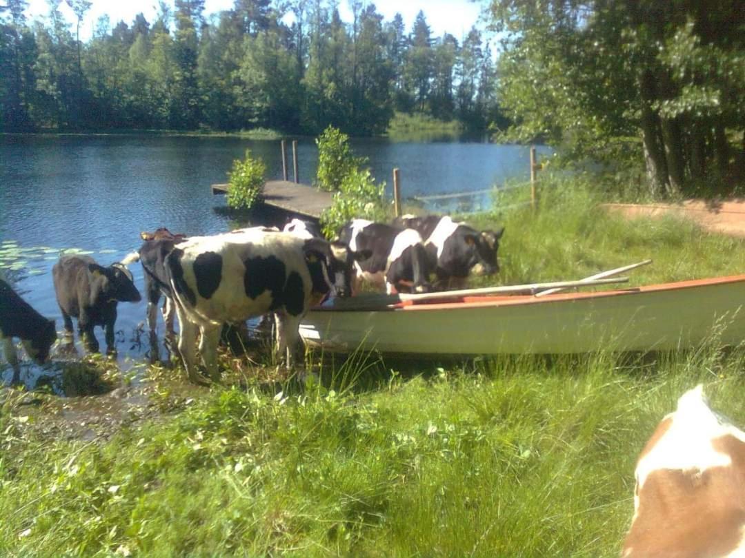 Sjötorp Säteri&stugby Alpstuga *